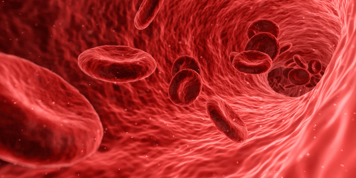 ¿De qué se compone la sangre menstrual?