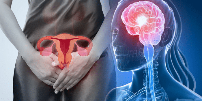 La relación entre la menstruación y el cerebro