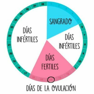 Calculando los días fértiles