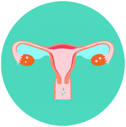 Algunas preguntas sobre el ciclo menstrual