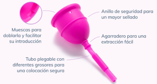 Partes de la copa menstrual autovaciable eureka